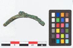 Foto von Bronzekahnfibel (NHMW-PRAE-024023)